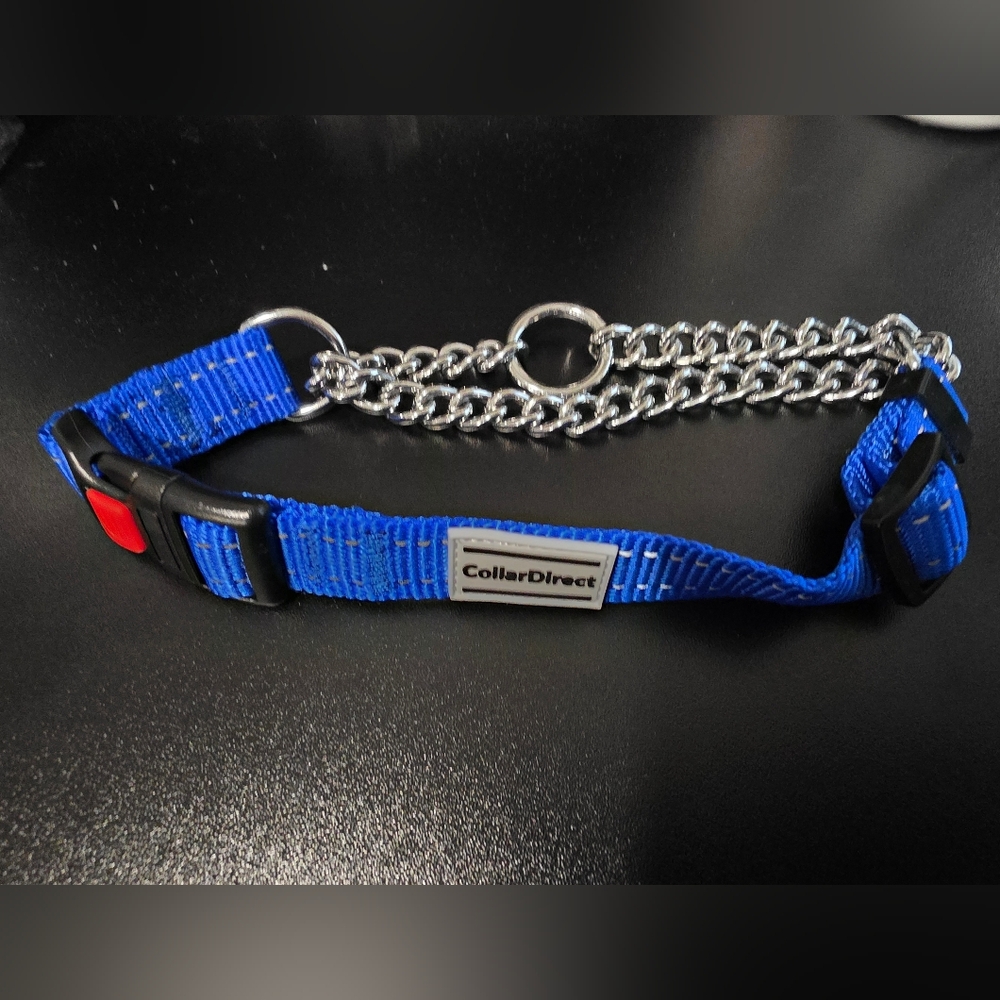 Blue and Silver Dog Collar with Sturdy Buckle and Chain Attachment
